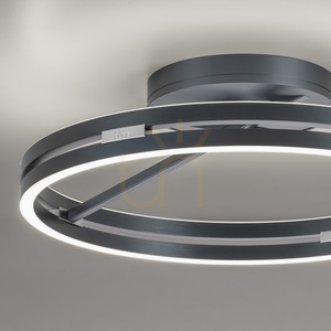 Plafon Paul Neuhaus PURE Loop 6552-15 szary 2xLED small 11