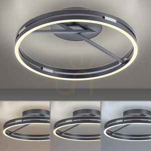 Plafon Paul Neuhaus PURE Loop 6552-15 szary 2xLED small 5
