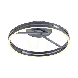 Plafon Paul Neuhaus PURE Loop 6552-15 szary 2xLED small 7