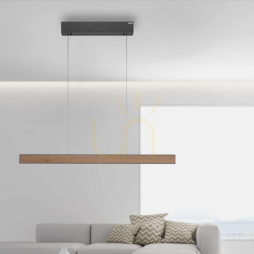 Obejrzyj Lampa Wisząca PURE E-MOTION 2570-79 Czarny 2xLED Lampa Wisząca PURE E-MOTION 2570-79 Czarny 2xLED