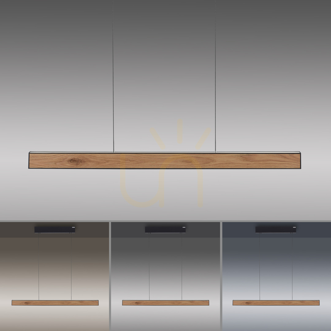 Sprawdź Lampa Wisząca PURE E-MOTION 2570-79 Czarny 2xLED Lampa Wisząca PURE E-MOTION 2570-79 Czarny 2xLED