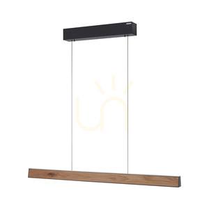 Lampa Wisząca PURE E-MOTION 2570-79 Czarny 2xLED 7 Lampa Wisząca PURE E-MOTION 2570-79 Czarny 2xLED small 7