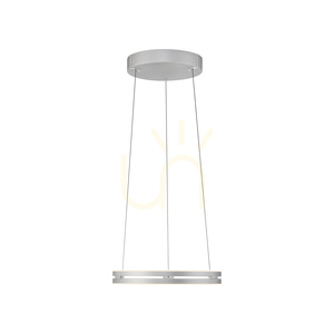 Lampa Wisząca PURE E-LOOP 2550-95 Srebrny 2xLED small 17