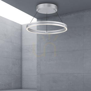 Lampa Wisząca PUREE-LOOP 2551-95 Srebrny 2xLED small 11