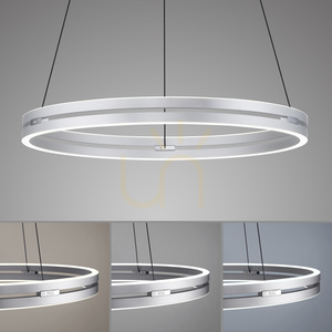 Lampa Wisząca PUREE-LOOP 2551-95 Srebrny 2xLED small 5