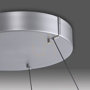 Lampa Wisząca PUREE-LOOP 2551-95 Srebrny 2xLED small 9