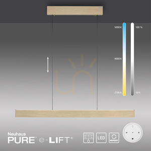 Lampa Wisząca PURE E-MOTION 2570-60 Mosiądz 2xLED small 13