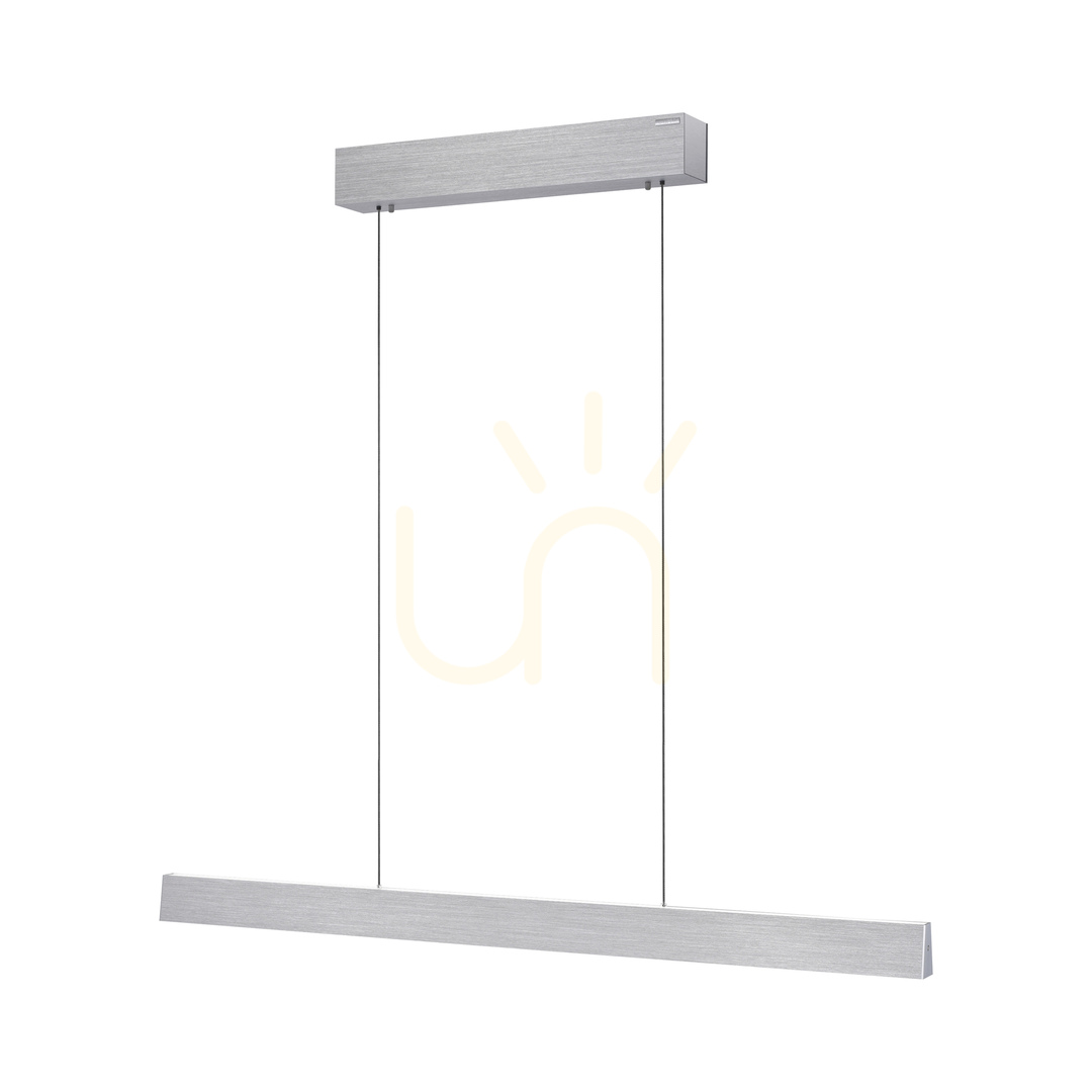 Obejrzyj Lampa Wisząca PURE E-MOTION 2570-95 Srebrny 2xLED Lampa Wisząca PURE E-MOTION 2570-95 Srebrny 2xLED