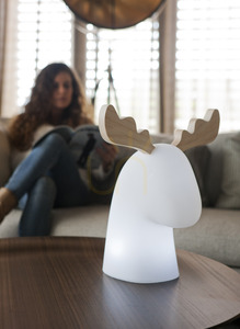 Lampa Ogrodowa RUDY 35 SOLAR 3139 Biały 1xLED 0 Lampa Ogrodowa RUDY 35 SOLAR 3139 Biały 1xLED small 0