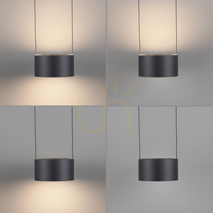 Lampa wisząca Paul Neuhaus PURE Clipse 2473-15, szara, regulacja wysokości Comfort Lift small 6