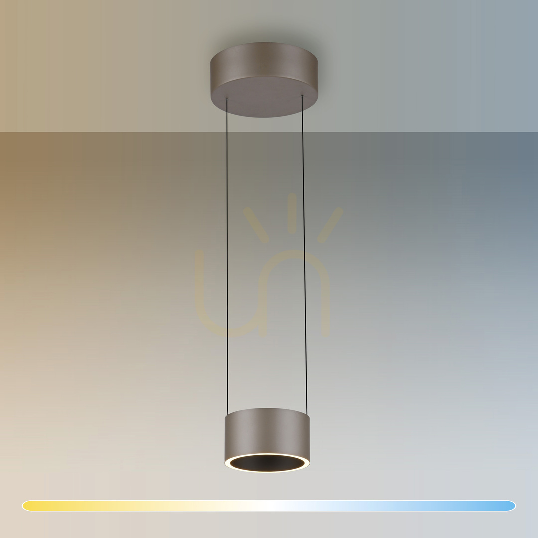 Obejrzyj Lampa Wisząca PURE CLIPSE 2471-97 Brązowy 2xLED Lampa Wisząca PURE CLIPSE 2471-97 Brązowy 2xLED