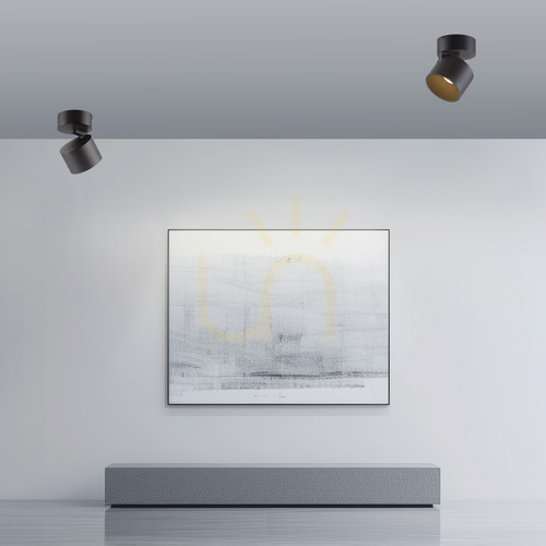 Sprawdź Lampa sufitowa Paul Neuhaus PURE Cup 6226-18, czarna