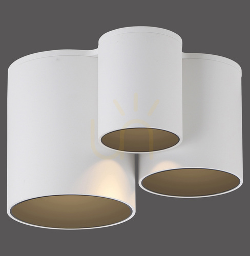 Sprawdź Plafon PURE POINT 6750-16 Biały 1xLED