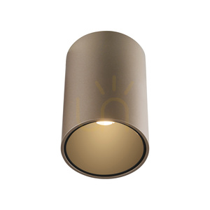 Lampa sufitowa Paul Neuhaus PURE Point 6749-97, brązowa small 5