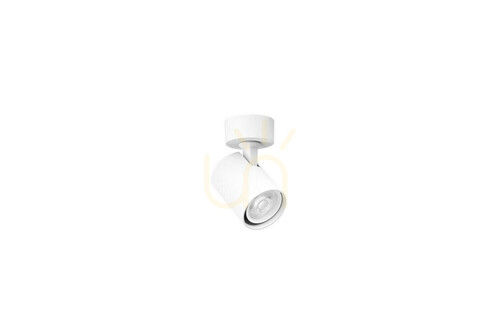 Sprawdź Downlight Azzardo EXO 1 R Biały