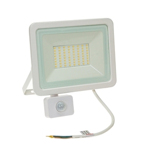 Noctis Lux 2 Smd 230v 50w Ip44 Cw White With Sensor small 0