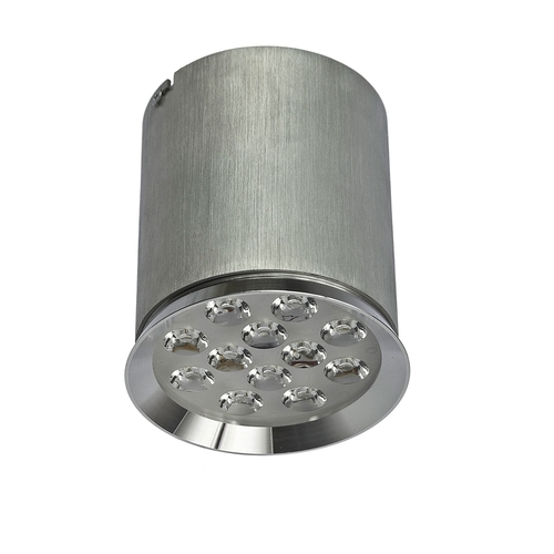 Sprawdź Chloe 12led 230v 12w Ip20 60st Cw Sufitowe