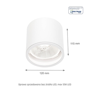 Chloe Ar111 Gu10 Ip65 Okrągła Biała                Nieruchoma small 3