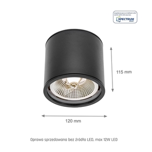Spot Chloe Ar111 Gu10 Ip65 Okrągła Czarna               Nieruchoma small 3
