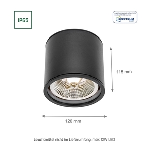 Spot Chloe Ar111 Gu10 Ip65 Okrągła Czarna               Nieruchoma small 7